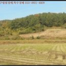 현내공설운동장 이미지