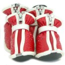 도기스쿨 이미지