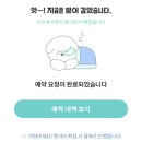 펫메이트 | 반려묘, 반려견 돌봄 서비스 도그메이트 후기, 펫시터 가격, 펫시터 어플, 내 돈 내산, 고양이, 강아지...