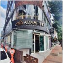 아담스펫 강아지분양 고양이분양 창원점 이미지