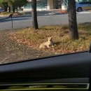 보람재활용센타 | 25.11_1. 괜찮은 것 같기도, 아닌것 같기도. 괜찮다고 하다보면 그렇게 되지 않을까?