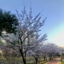 한가네숯불닭갈비 탕정점 이미지