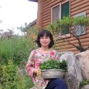 성예 이미지