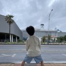 제주출발 - 남해 사천 여행, 26.06.02-.05