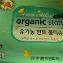 민트스토리 이미지