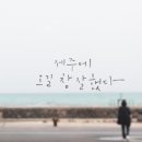 제주에 오길 잘했다 이미지