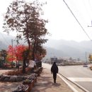 김삿갓면사무소 이미지