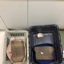 도도 켄넬 이미지