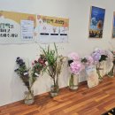 사하라블라썸