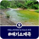 여행스케치펜션 | [공지] [가평 애기소계곡] 여행스케치펜션 앞 프라이빗 물놀이 명당 (2025)
