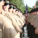 알파그린 이미지