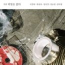 이사칠 이미지