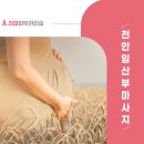 라파 피부마사지 이미지