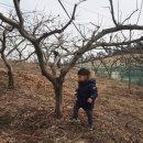 황영농장 이미지