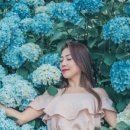 선양 목장 이미지