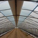 토토농장 이미지