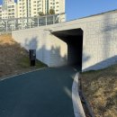 하단동1193 이미지