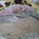 선어회식당 이미지