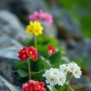 건강한생활 이미지