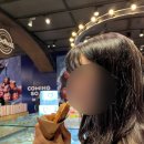 가조다방