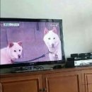 얌 - 양평군 시민로 6 | 얌