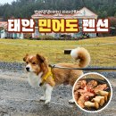 오성금바닷가펜션 | 태안 애견 동반 숙소 가성비 좋은 오션뷰 민어도 펜션