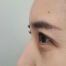 브로바이쥬 이미지