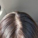 4664 | 천안 | 청당동 미용실 뽁구온니 두피클리닉 후기