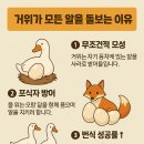 알품는사람들