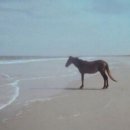 스파이 | 팅커 테일러 솔저 스파이 후기(서울 영화 센터)