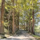 송산목장 | [광주 아이와 가볼만한곳] 송산목장 체험 후기｜양떼·토끼 먹이주기+승마+자연놀이