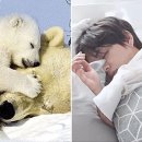 태형 이미지