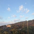 (주)베리힐 | [호캉스/후기] 도심 속 단풍과 여유, 비스타 워커힐에서 보낸 가을의 하루