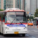 가락4리 이미지