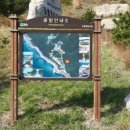 태왕광고