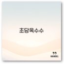 초당 이미지