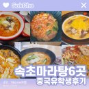 취향마라 마라탕속초점 | 유학생이 먹어본 강원도 속초 마라탕 6곳 리뷰🇨🇳 (마라홀릭, 마라시대, 야미, 춘리, 탕화쿵푸, 취향마라)