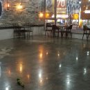 퍼피아이애견 이미지