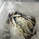 제철 꽃게 연평도 숫꽃게 후기, 꽃게찜 꽃게청국장 만들기