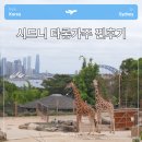 아이와 시드니 가볼만한 곳 타롱가주 동물원 가는 방법과 후기 (할인코드공유)