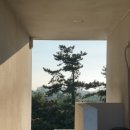 [제주펜션/월정리게스트하우스] 메이드인월정리 가족실 숙박 후기