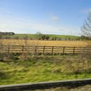 영국목장 이미지