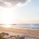 내가만약 이미지