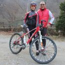 김삿갓면-4 이미지