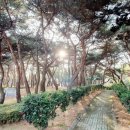 상남동224 이미지