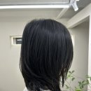 [회기 미용실/경희대미용실] 플렌에이치 회기점, 레이어드단발펌 후기:)
