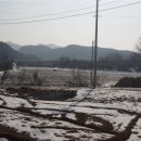 한반도부동산중개사무소 이미지