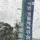 재미농장 | 🍇 직접 따서 먹는 재미! 홍천강 블루베리 농장 체험 후기💜