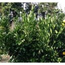 강창민농장 이미지