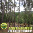 송산물빛 유아숲체험원 이미지